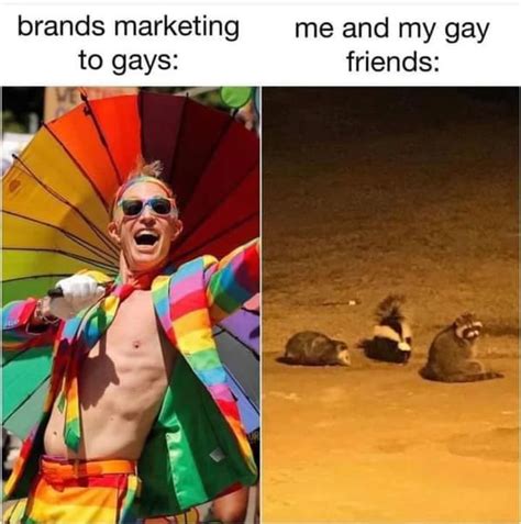 funny gay pride memes|Celebrate Pride Month With These Hilarious LGBTQ Memes (25 .